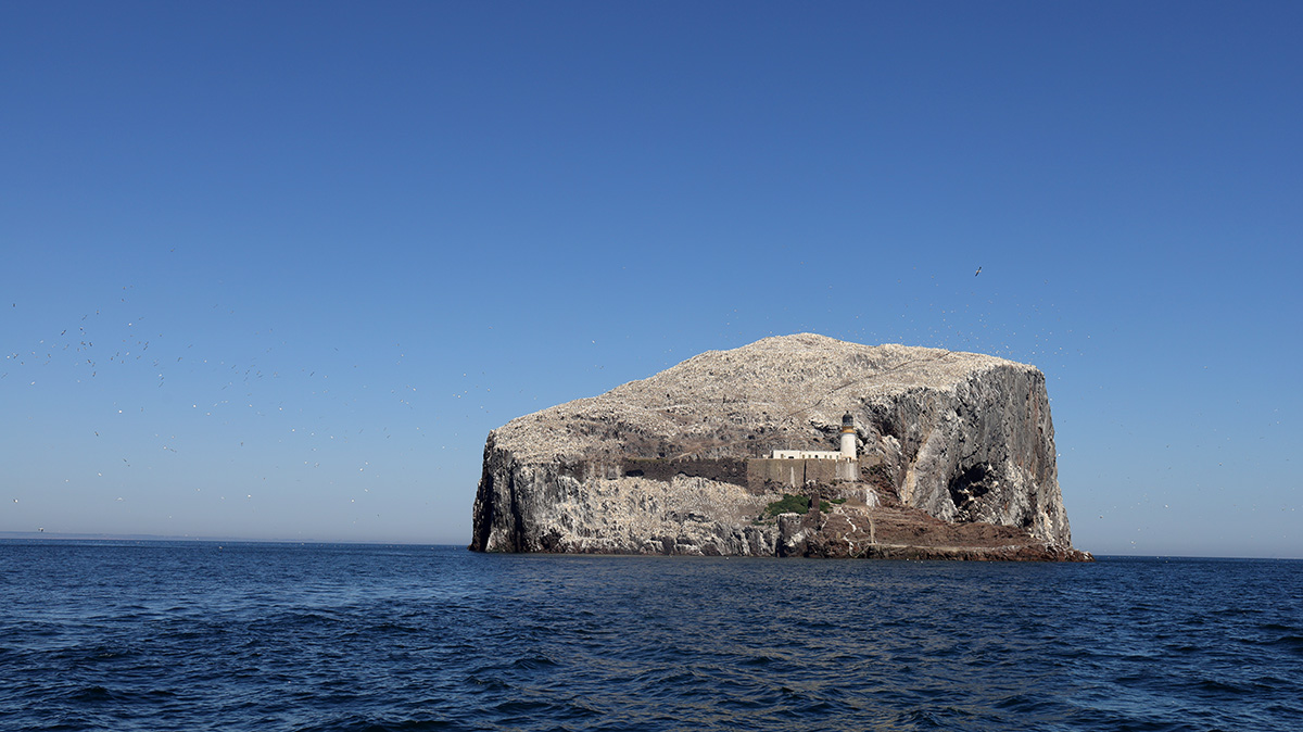 Bass Rock